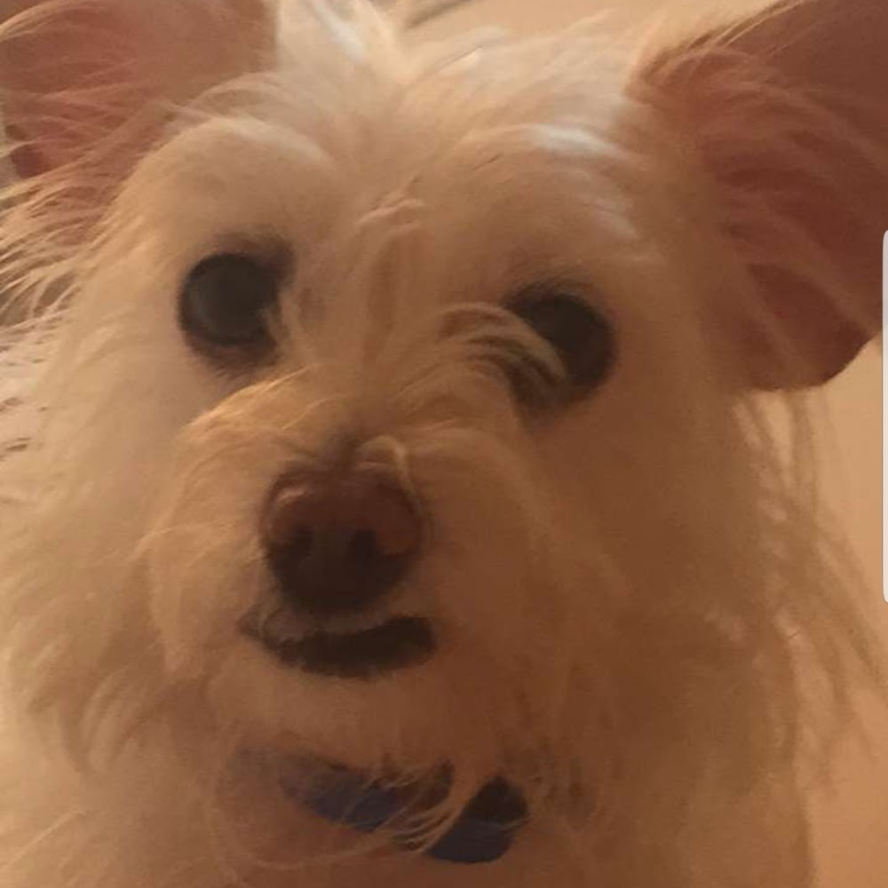 Meet your Posher, Hailey